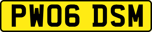 PW06DSM