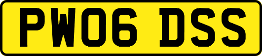 PW06DSS