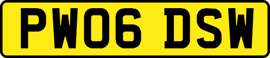 PW06DSW