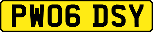 PW06DSY