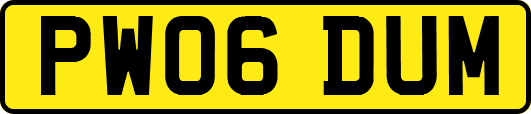 PW06DUM
