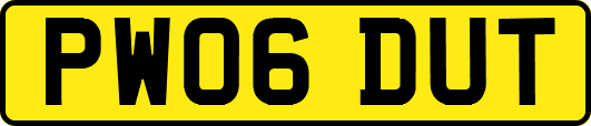 PW06DUT