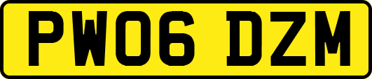 PW06DZM