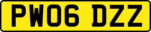 PW06DZZ