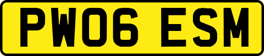 PW06ESM