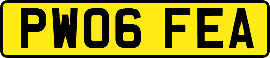 PW06FEA