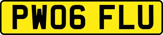 PW06FLU