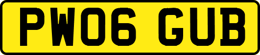 PW06GUB