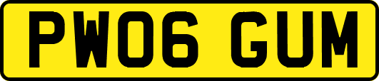 PW06GUM