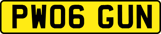 PW06GUN