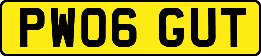 PW06GUT