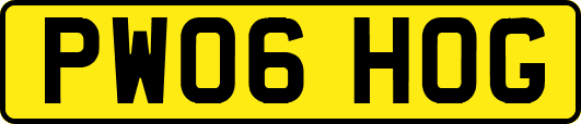 PW06HOG