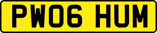 PW06HUM