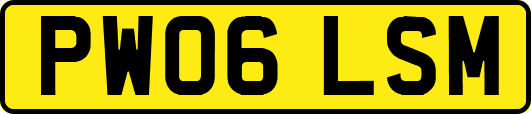 PW06LSM