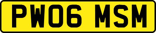 PW06MSM