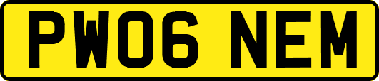 PW06NEM