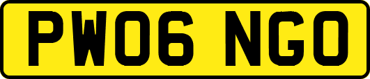 PW06NGO