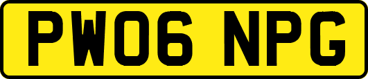PW06NPG