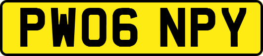 PW06NPY