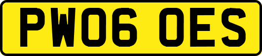 PW06OES