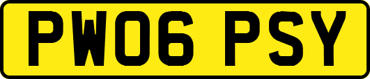 PW06PSY
