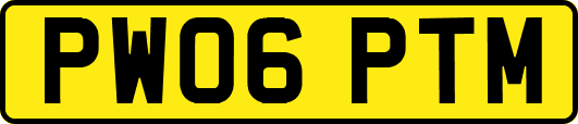 PW06PTM