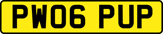 PW06PUP