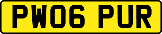 PW06PUR