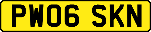 PW06SKN