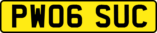 PW06SUC