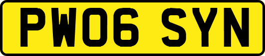 PW06SYN