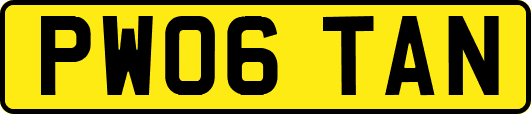 PW06TAN