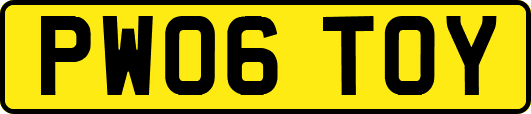 PW06TOY