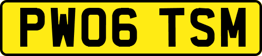 PW06TSM