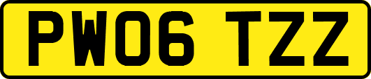PW06TZZ