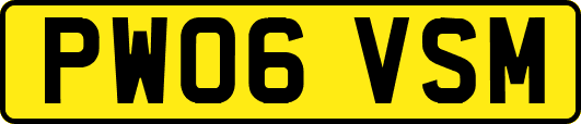 PW06VSM