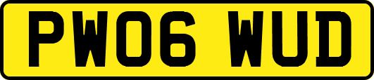 PW06WUD