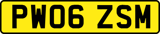 PW06ZSM