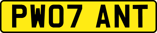 PW07ANT