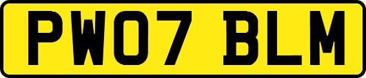 PW07BLM
