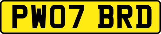 PW07BRD