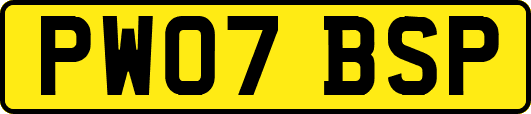 PW07BSP