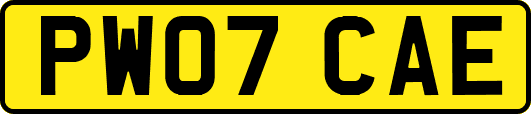 PW07CAE
