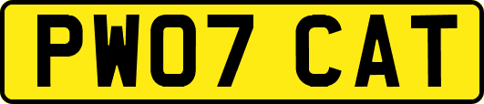 PW07CAT