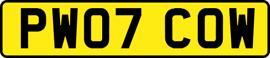 PW07COW