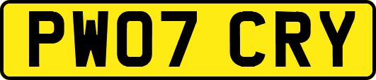 PW07CRY