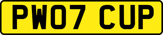 PW07CUP