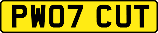 PW07CUT