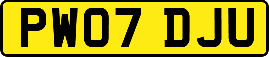 PW07DJU