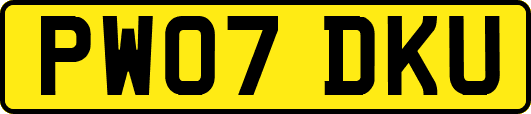 PW07DKU